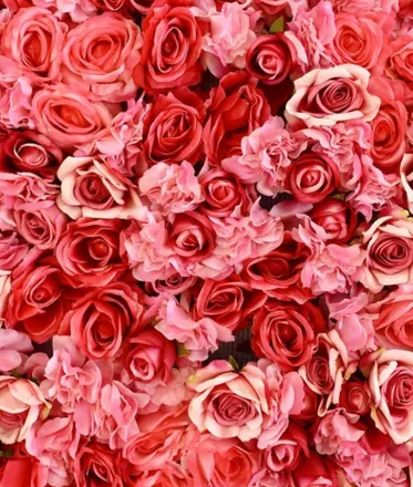 OnlyFans cuenta rosemarysbabyy header 2