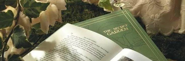 OnlyFans account  spicybookreader header 2