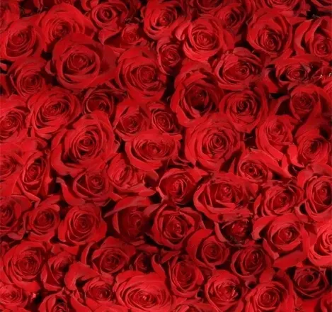 OnlyFans cuenta xoxo6914 header 1