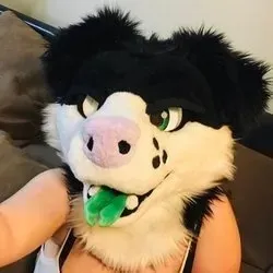 OnlyFans account  adpupperoni avatar 1