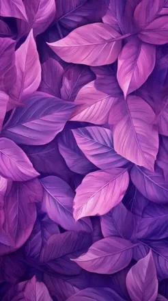 OnlyFans cuenta michietaylor header 2