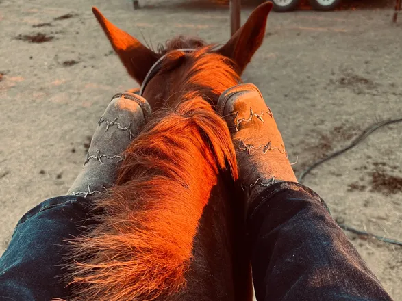 OnlyFans cuenta cow_girl_by_day header 2