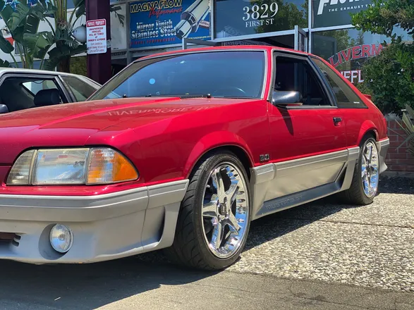 OnlyFans account  justmustangtingz header 2