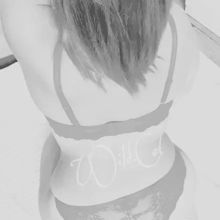 OnlyFans cuenta wild.catfree avatar 1