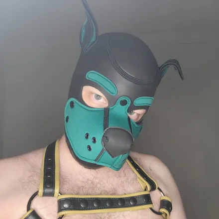 OnlyFans cuenta pupcabe header 2