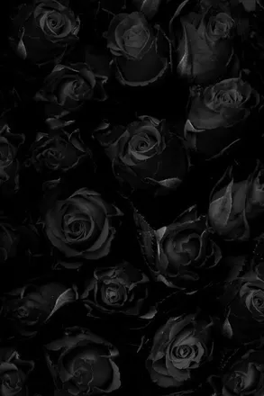 OnlyFans cuenta amanda_exclusive header 2