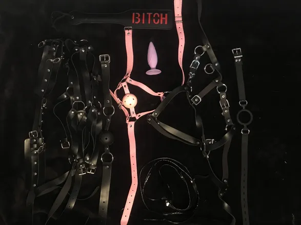 OnlyFans cuenta gothgirl9101 header 2
