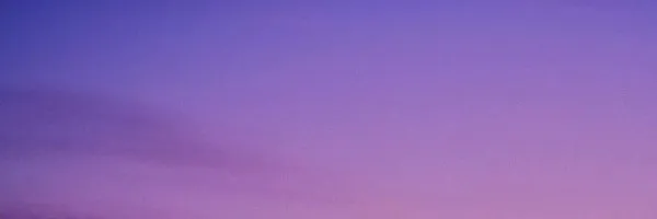 OnlyFans cuenta courtneeyann header 2