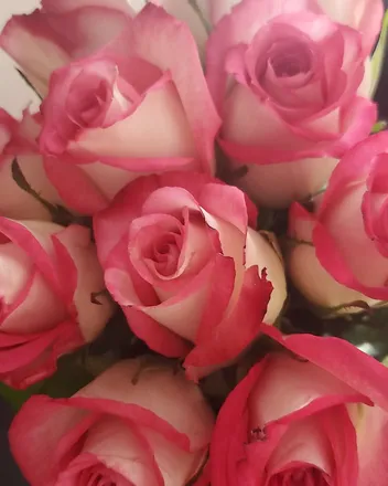 OnlyFans cuenta xstarlight81 header 2