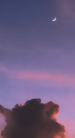 OnlyFans cuenta gyusbussycatdoll header 2