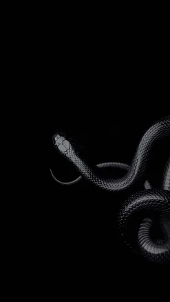 OnlyFans cuenta babygirlandthebaphomet header 2