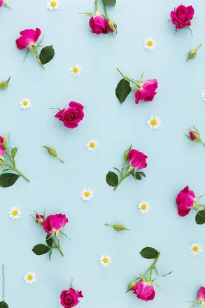 OnlyFans cuenta princess-cakess header 2