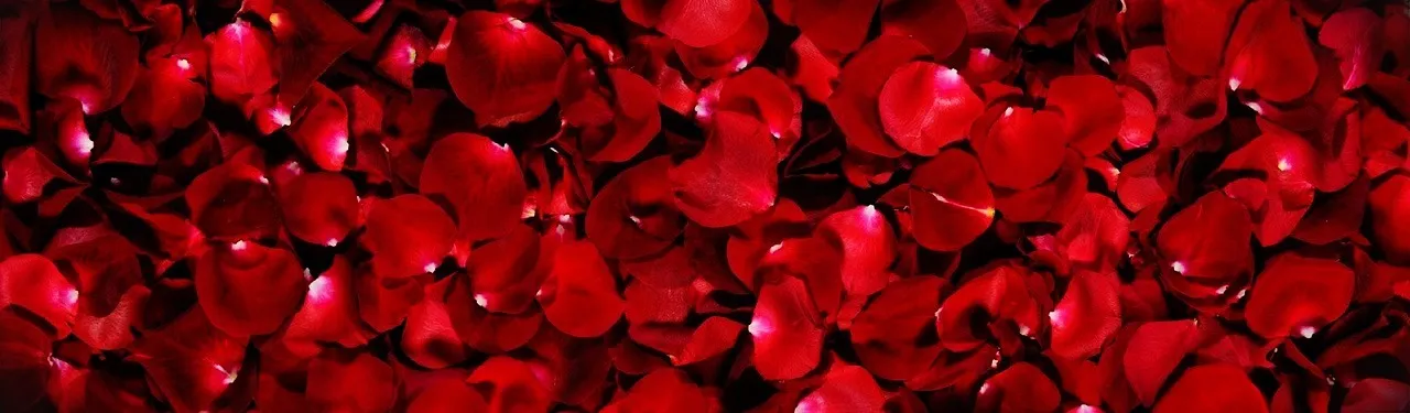 OnlyFans account  realedenosiris header 2