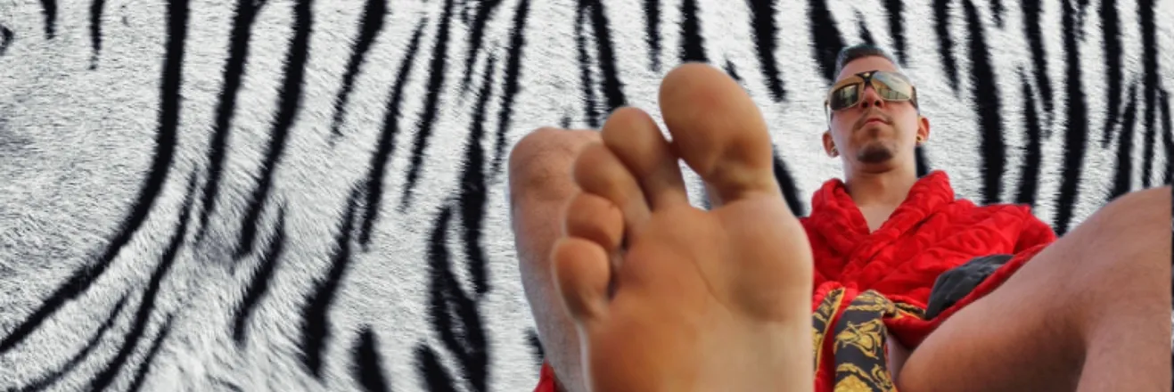 OnlyFans cuenta whitetigerspaws header 2