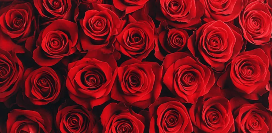 OnlyFans cuenta lunajenner header 2