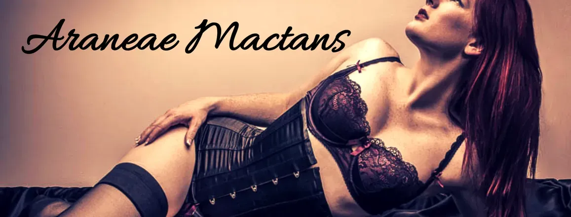 OnlyFans cuenta xaraneaex header 2