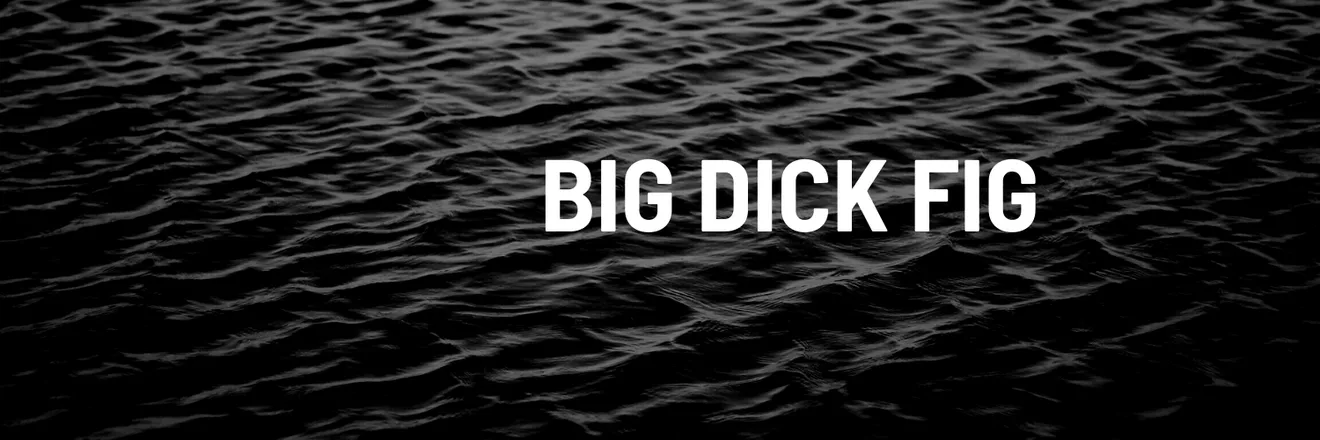 OnlyFans account  bigdickfig header 2