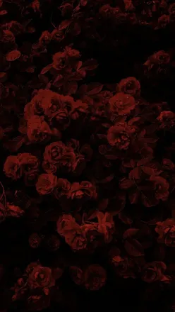OnlyFans cuenta vampi666 header 2