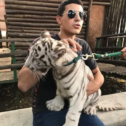 OnlyFans cuenta luisitotime avatar 1