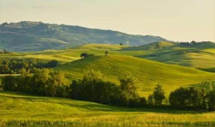 OnlyFans cuenta mrcfcho header 2