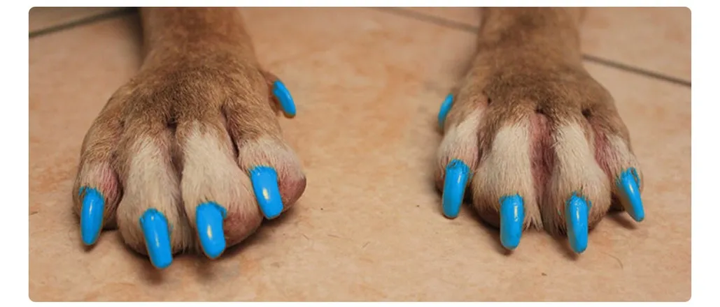 OnlyFans cuenta tattedfoot666 header 2