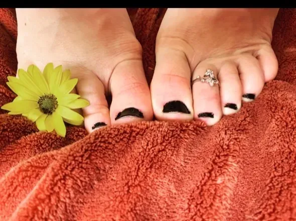 OnlyFans cuenta feet.for.fee avatar 1