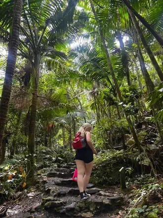 OnlyFans cuenta princess_viixenn avatar 1
