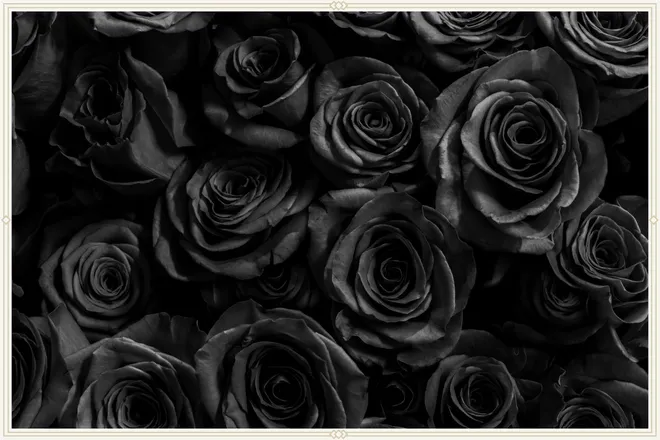 OnlyFans cuenta blackrose18 header 2