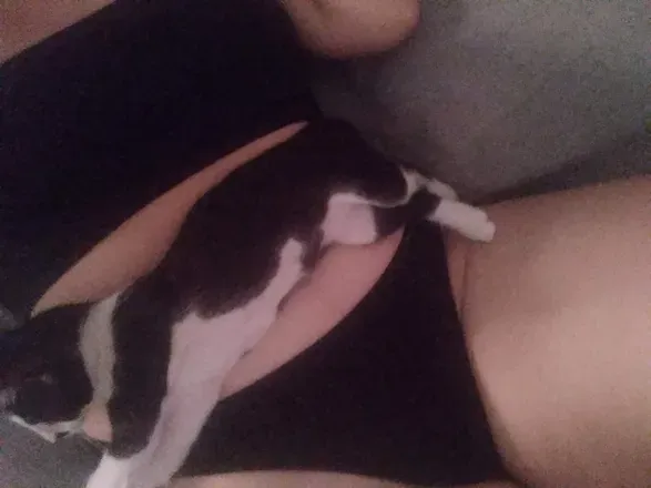 OnlyFans account  mahinahoku avatar 1