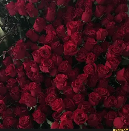 OnlyFans cuenta jaydedwoman header 2