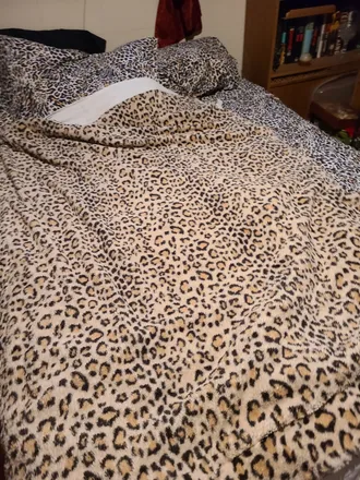 OnlyFans cuenta wildcougar72 header 2