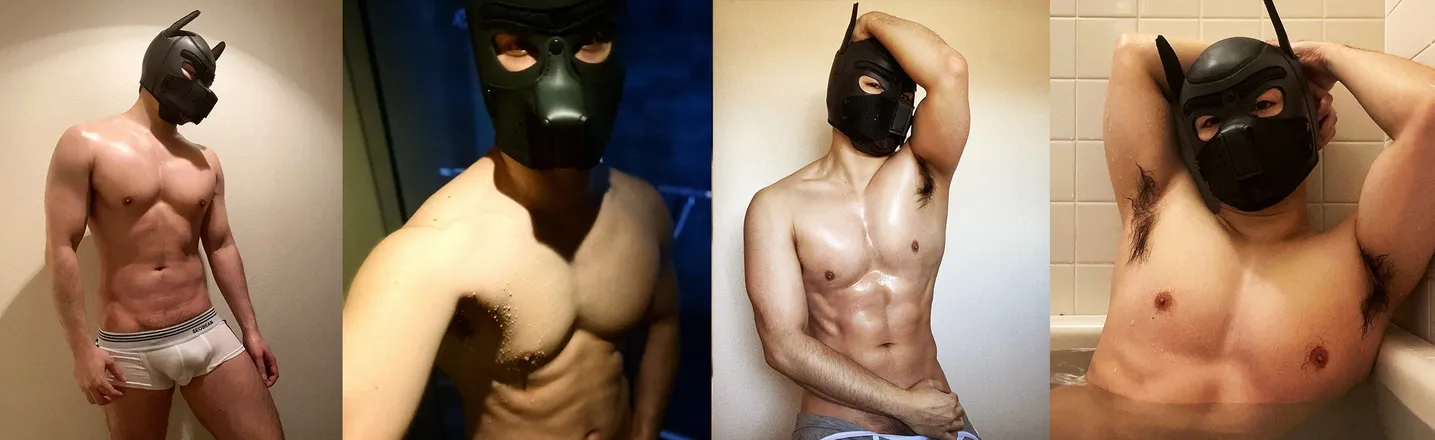 OnlyFans account  foccaseal header 2