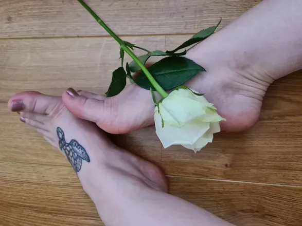 OnlyFans cuenta tootsiefootsie3 avatar 1