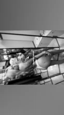 OnlyFans account  queennetty header 2