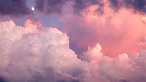 OnlyFans cuenta cutiewithdaabooty header 2