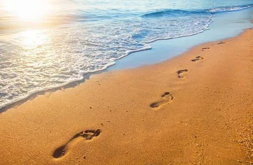 OnlyFans cuenta palefeet22 header 2