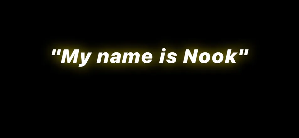 OnlyFans cuenta nookphoto header 2