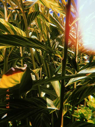 OnlyFans cuenta babyjosworld header 2