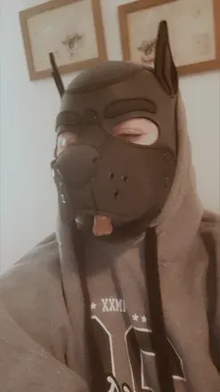 OnlyFans cuenta onyx_the_pup avatar 1