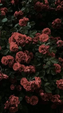 OnlyFans cuenta rubi26ca header 2