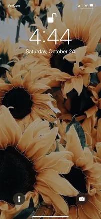 OnlyFans cuenta ansleyrae header 2