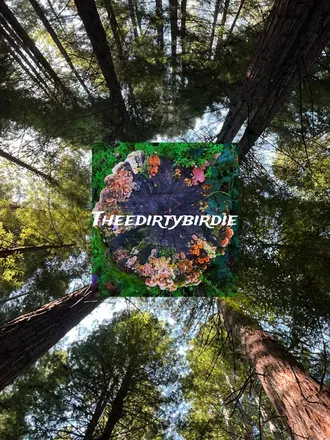 OnlyFans cuenta theedirtybirdie header 2