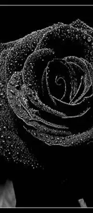 OnlyFans account  bexash header 2