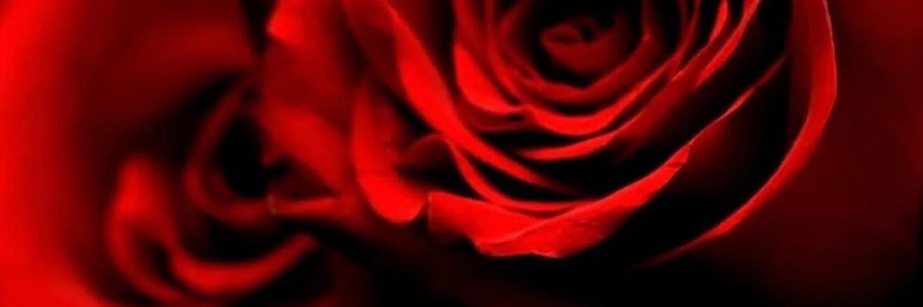 OnlyFans cuenta sweetorgasms header 2