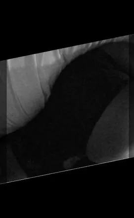 OnlyFans cuenta amberrozay header 2