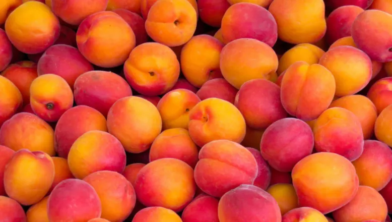 OnlyFans cuenta peached.babee header 2