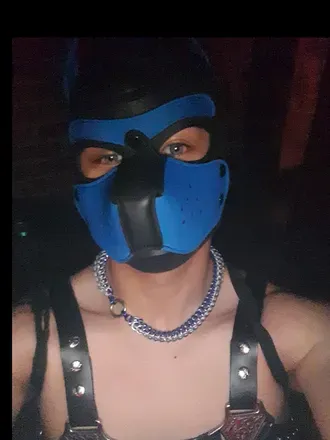 OnlyFans cuenta pupcoomaxxx avatar 1