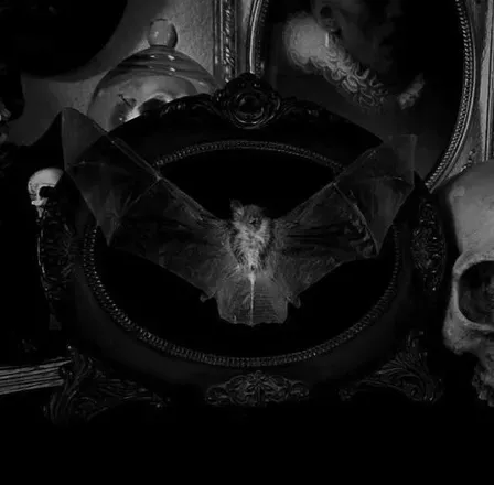 OnlyFans cuenta satanistbabyyy header 2