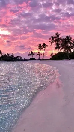 OnlyFans cuenta exotic.electra header 2