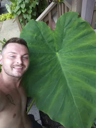 OnlyFans cuenta brodywinters avatar 1